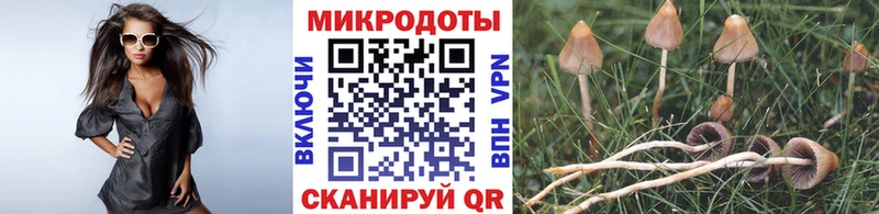 Купить закладки  Балабаново  Псилоцибиновые грибы MAGIC MUSHROOMS 